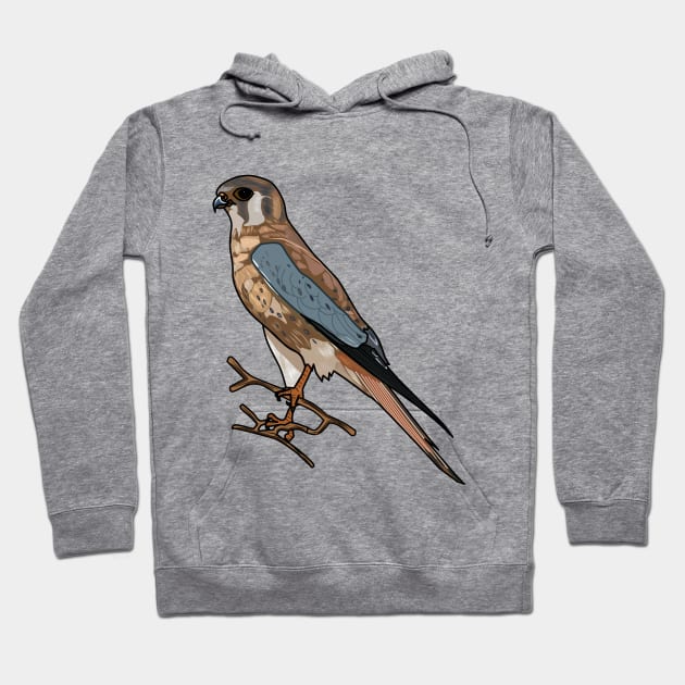 American kestrel bird cartoon illustration Hoodie by Miss Cartoon